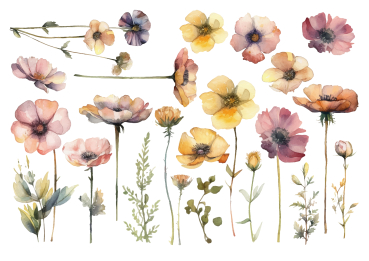 Motivtransfer, Bügelmotiv in A4 - Auarell Blumen - BTR-005
